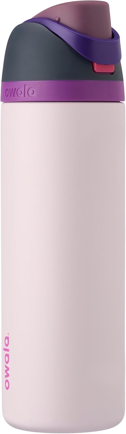 FreeSip Insulated Stainless Steel Water Bottle with Straw, BPA-Free Sports Water Bottle, Great for Travel, 32 Oz, Very, Very Dark