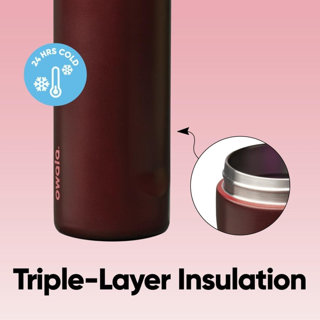 FreeSip Insulated Stainless Steel Water Bottle with Straw, BPA-Free Sports Water Bottle, Great for Travel, 32 Oz, Very, Very Dark