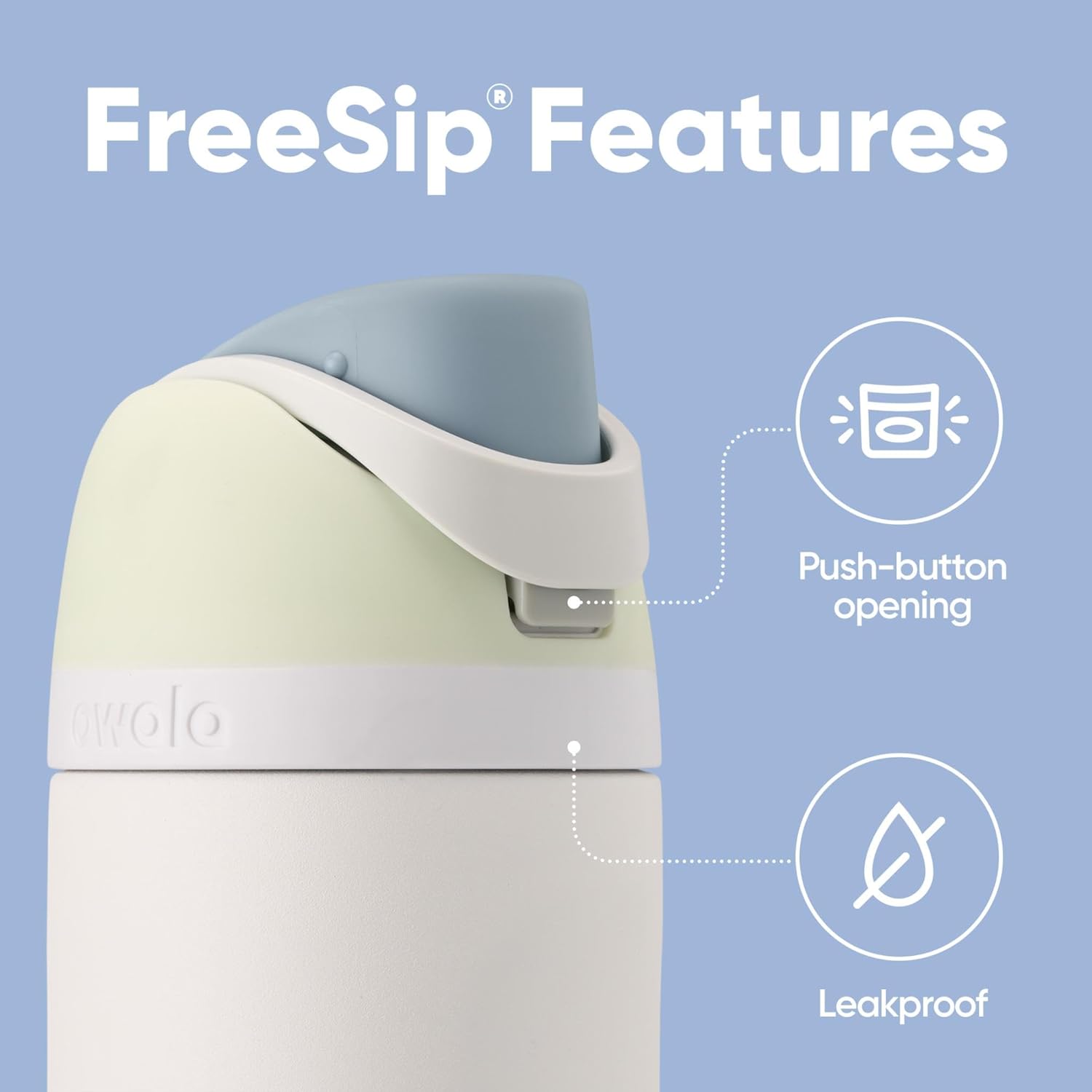 FreeSip Insulated Stainless Steel Water Bottle with Straw, BPA-Free Sports Water Bottle, Great for Travel, 32 Oz, Very, Very Dark