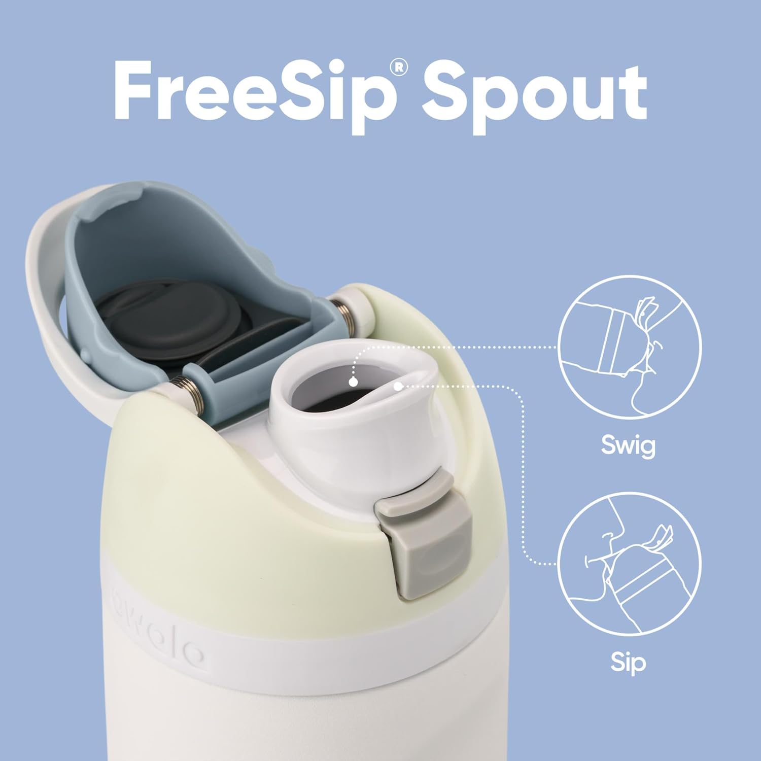 FreeSip Insulated Stainless Steel Water Bottle with Straw, BPA-Free Sports Water Bottle, Great for Travel, 32 Oz, Very, Very Dark