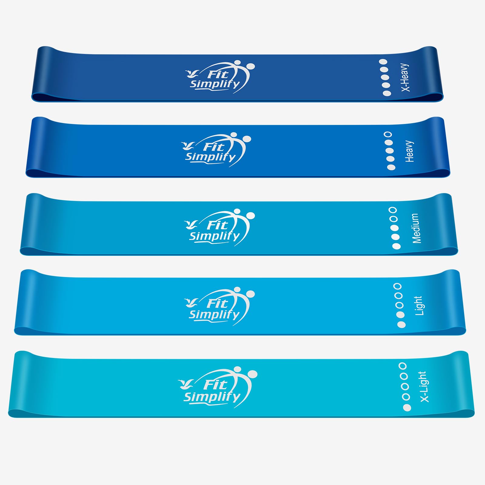 Resistance Loop Exercise Bands with Instruction Guide and Carry Bag, Set of 5