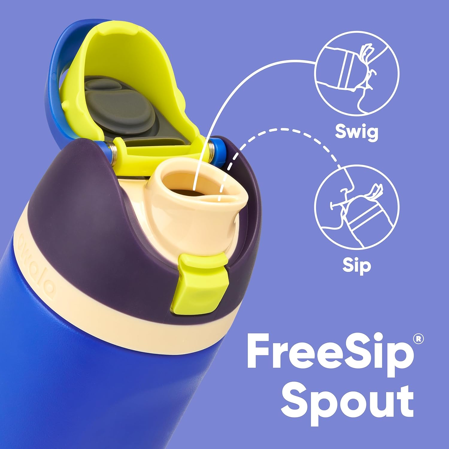 FreeSip Insulated Stainless Steel Water Bottle with Straw, BPA-Free Sports Water Bottle, Great for Travel, 32 Oz, Very, Very Dark