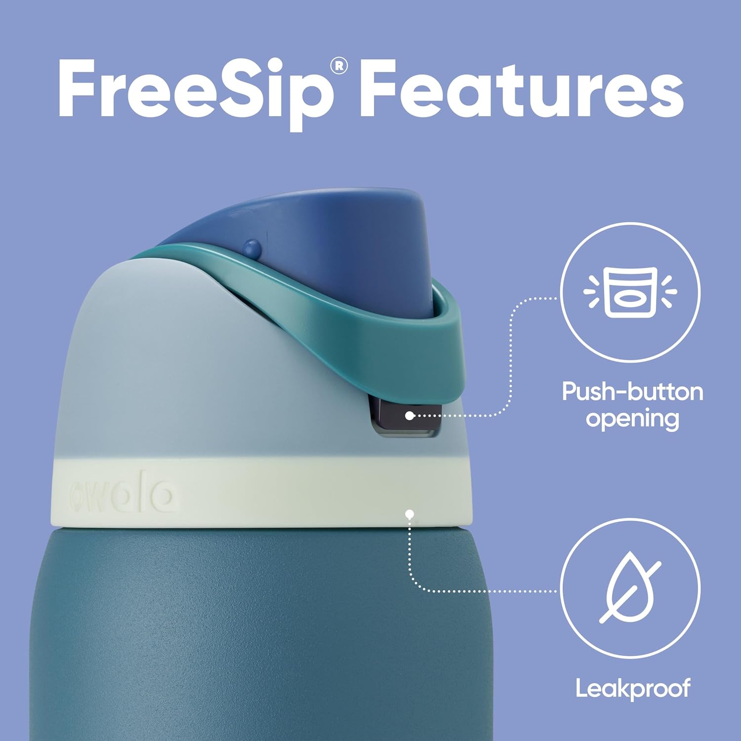 FreeSip Insulated Stainless Steel Water Bottle with Straw, BPA-Free Sports Water Bottle, Great for Travel, 32 Oz, Very, Very Dark