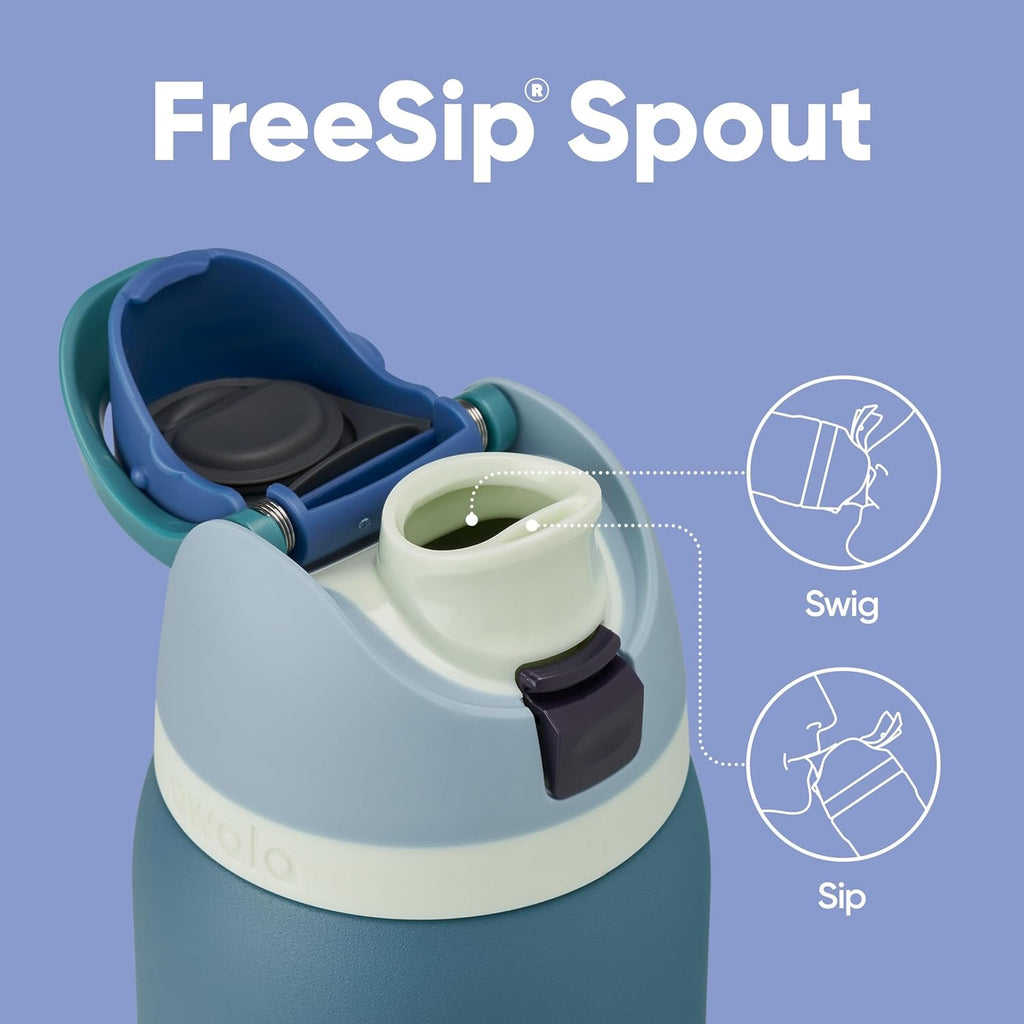 FreeSip Insulated Stainless Steel Water Bottle with Straw, BPA-Free Sports Water Bottle, Great for Travel, 32 Oz, Very, Very Dark