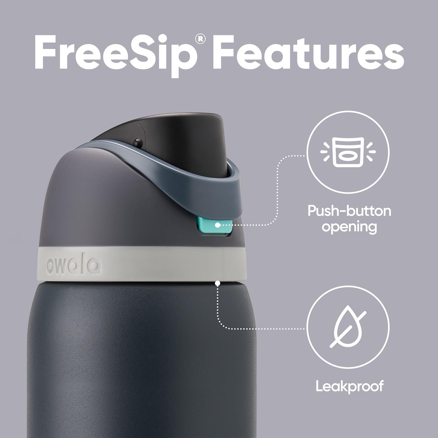 FreeSip Insulated Stainless Steel Water Bottle with Straw, BPA-Free Sports Water Bottle, Great for Travel, 32 Oz, Very, Very Dark