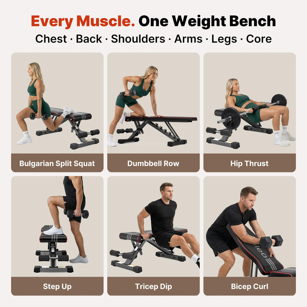 Adjustable Weight Bench for Home Gym