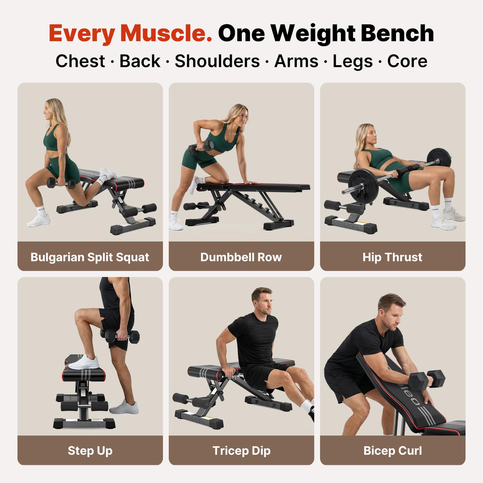 Adjustable Weight Bench for Home Gym